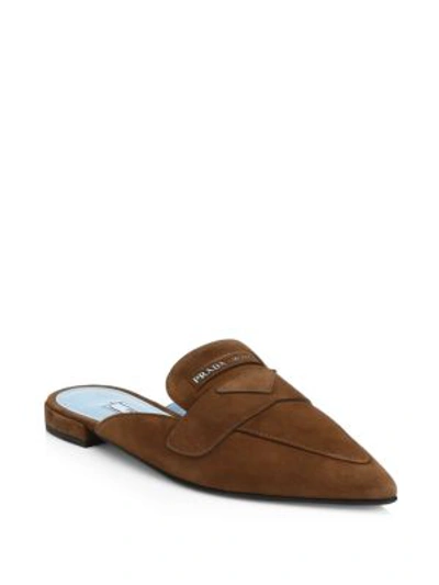 Shop Prada Suede Point Toe Mule In Brown