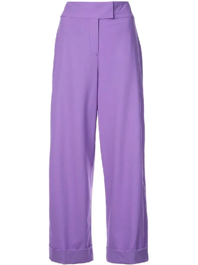Shop Diane Von Furstenberg High Waisted Trousers In Purple