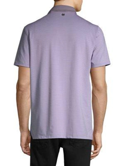 Shop Greyson Choctaw Striped Polo Shirt In Artic Eel