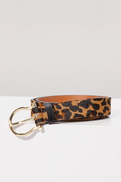 Shop Maison Boinet Leopard Belt In Havana