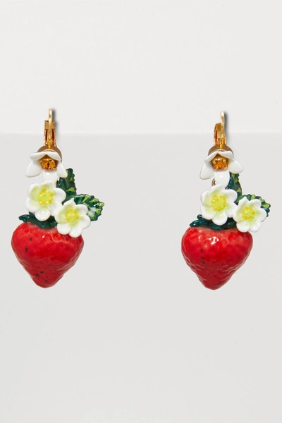 Shop Dolce & Gabbana Strawberries Earrings