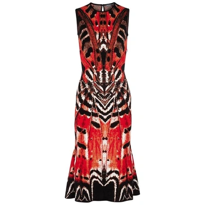 Shop Alexander Mcqueen Butterfly-jacquard Stretch-knit Dress In Red