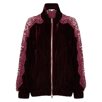 Shop Stella Mccartney Lily Lace And Velvet Bomber Jacket In Burgundy