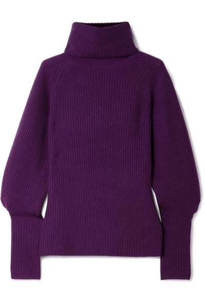 Shop Altuzarra Arrow Ribbed Cashmere Turtleneck Sweater In Dark Purple
