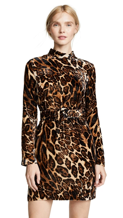 Shop Wayf Peggy Mock Neck Belted Shift Dress In Leopard