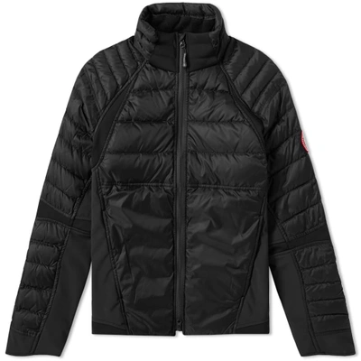 Shop Canada Goose Hybridge Perren Jacket In Black