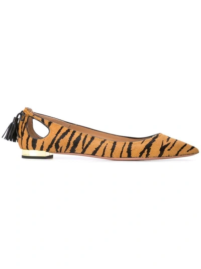 Shop Aquazzura Tiger Flat Pumps In Brown