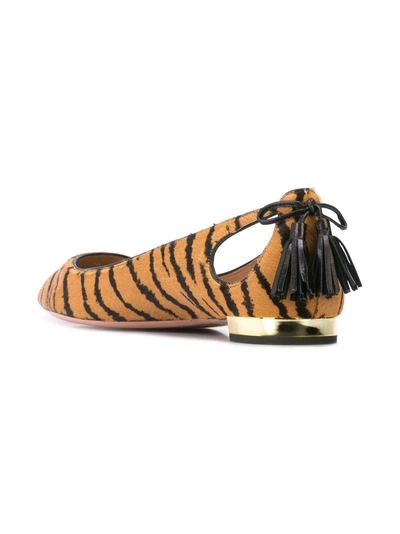 Shop Aquazzura Tiger Flat Pumps In Brown