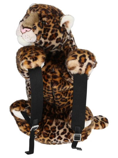 Shop Dolce & Gabbana Backpack Leopard
