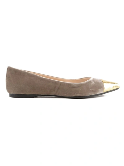 Shop Anna Baiguera Pointed Toe Ballerinas In Castoro Velvet Gold