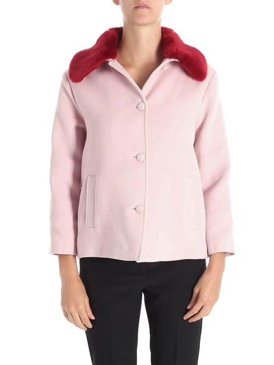 Shop Trussardi Faux Fur Collar Coat In Pink