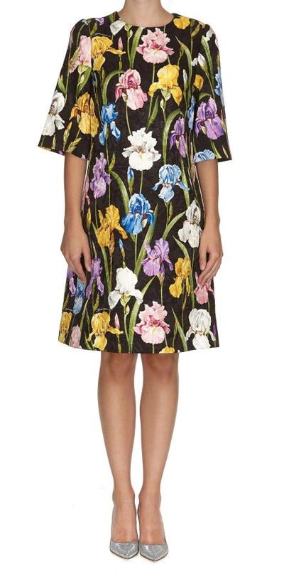 Shop Dolce & Gabbana Iris Print Dress In Multicolor