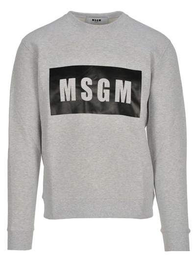 Shop Msgm Felpa Panel In Grey