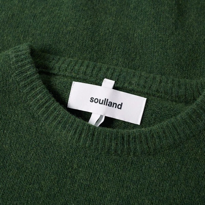 Shop Soulland Giorgio Classic Crew Knit In Green