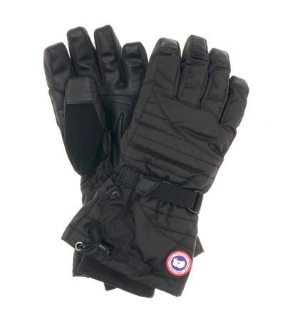 Shop Canada Goose Arctic Down Gloves In Black
