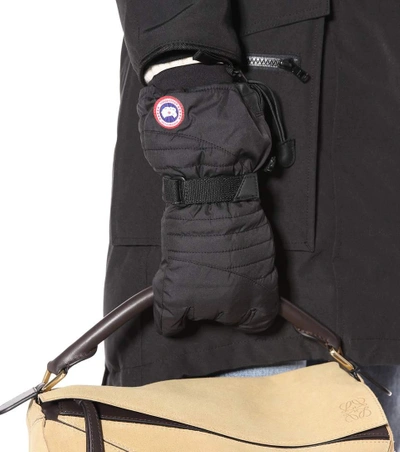 Shop Canada Goose Arctic Down Gloves In Black
