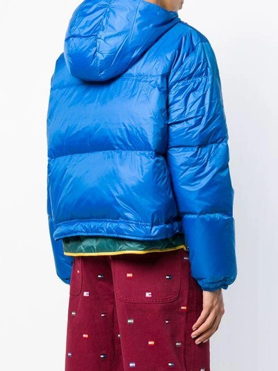 Shop Tommy Hilfiger Puffer Jacket - Blue