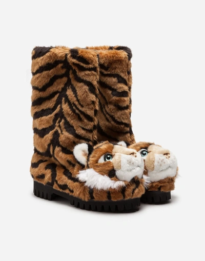 Shop Dolce & Gabbana Biker Boots In Tiger Faux Fur In Multicolor