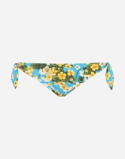 Shop Dolce & Gabbana Printed Bikini Bottoms In Light Blue