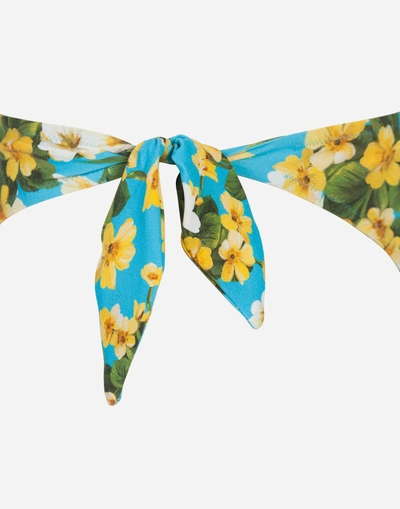 Shop Dolce & Gabbana Printed Bikini Bottoms In Light Blue