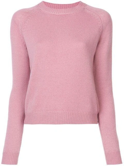 Shop Alexandra Golovanoff Crew Neck Knitted Sweater In Pink