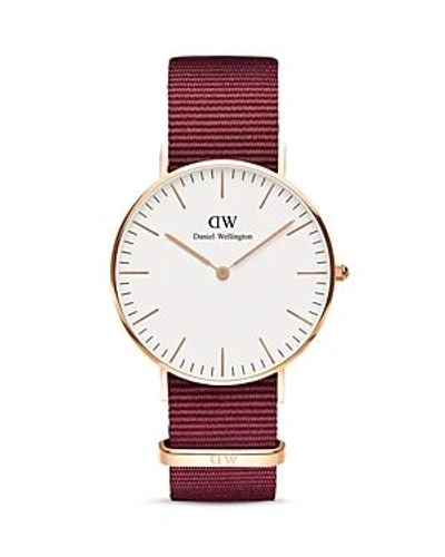 Shop Daniel Wellington Classic Roselyn Nato Watch, 36mm In White/red