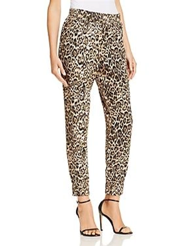 Shop Aqua Leopard Print Jogger Pants - 100% Exclusive