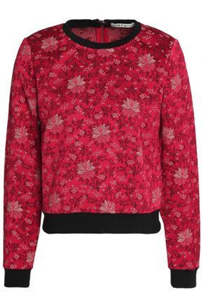 Shop Alice And Olivia Alice + Olivia Woman Marylou Floral-jacquard Sweatshirt Crimson