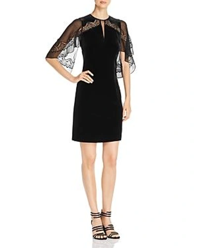 Shop Elie Tahari Essence Velvet Lace Dress In Black