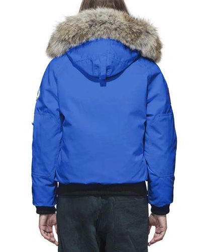 Shop Canada Goose Chilliwack Pbi Bomber Coat With Fur Hood In Royal