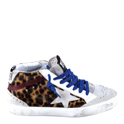 Shop Golden Goose Deluxe Brand Star Leopard Sneakers In White
