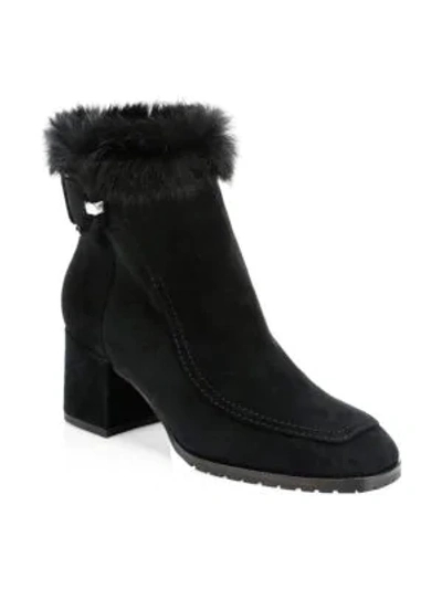 Charlize Rabbit Fur trim Shearling lined Suede Ankle Boots In Black