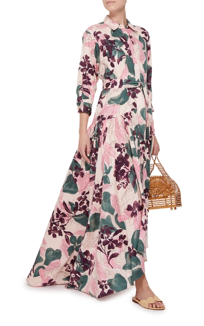 Shop Alexis Beatrice Printed Cotton Shirt Dress In Pink