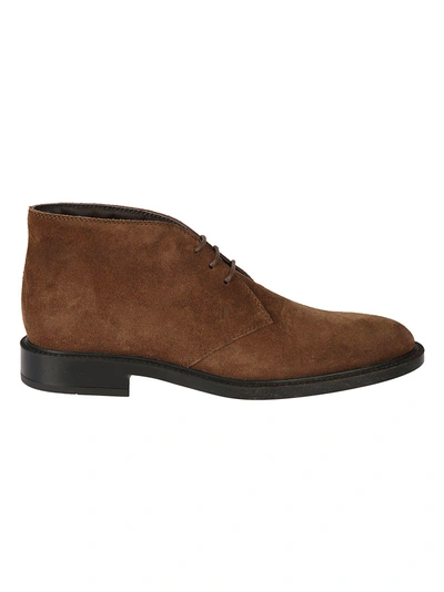 Shop Tod's Chukka Desert Boots In Brown