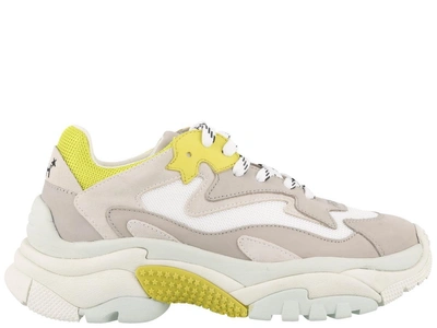 Shop Ash Addict Sneakers In Grey Yellow