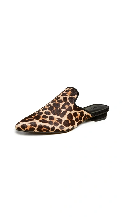 Shop Rebecca Minkoff Chamille Too Point Toe Mules In Leopard