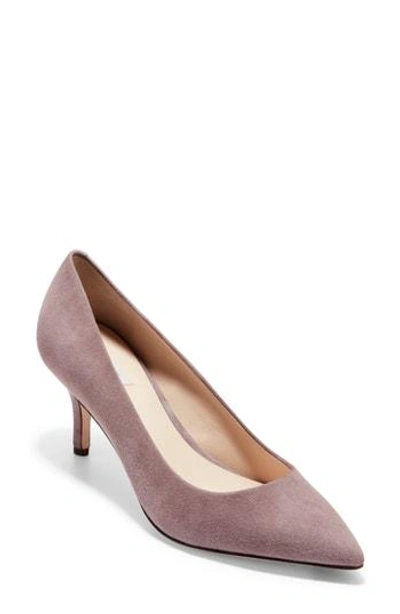 Shop Cole Haan Vesta Pointy Toe Pump In Ocelot Calfhair