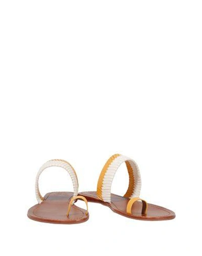 Shop Tory Burch Toe Strap Sandals In Yellow
