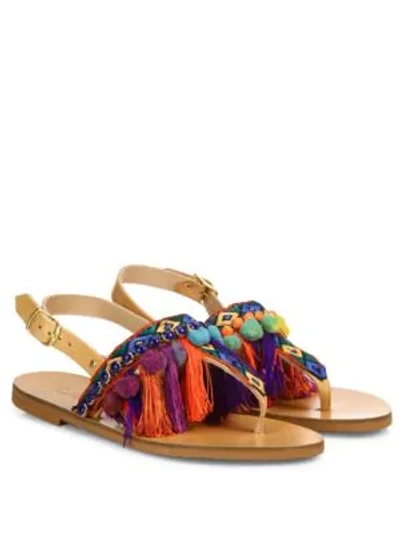 Shop Elina Linardaki Dizzy Parrot Embroidered Leather Flat Slingback Sandals In Multi