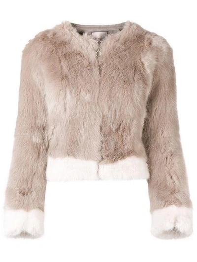 Shop Urbancode Cropped Faux Fur Jacket In Grey