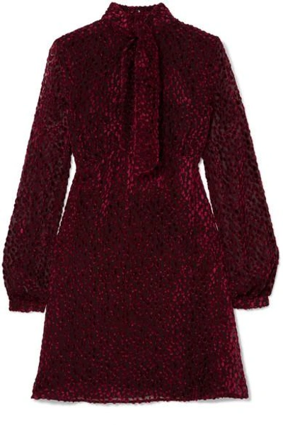 Shop Saint Laurent Pussy-bow Devoré-chiffon Mini Dress In Burgundy