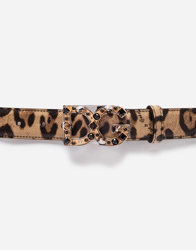 Shop Dolce & Gabbana Printed Leather Belt In Leo Print