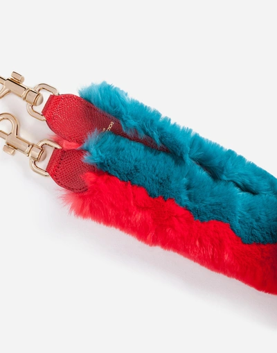 Shop Dolce & Gabbana Lapin And Leather Strap In Multicolor