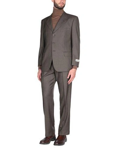 Shop Sidi Suits In Brown