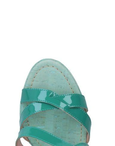 Shop Studio Pollini Sandals In Green