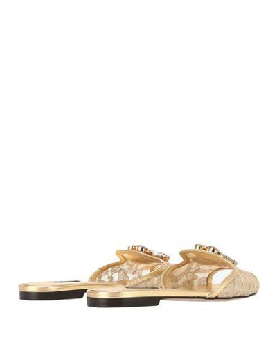 Dolce & Gabbana Rainbow Slides In Gold Lurex Lace With Brooch In Gold