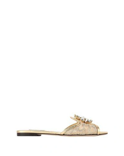 Dolce & Gabbana Rainbow Slides In Gold Lurex Lace With Brooch In Gold