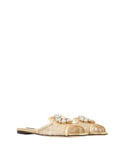 Dolce & Gabbana Rainbow Slides In Gold Lurex Lace With Brooch In Gold