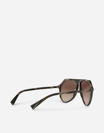 Shop Dolce & Gabbana Less Is Chic Sunglasses In Brown - Horn Effect