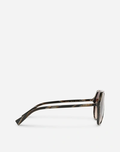 Shop Dolce & Gabbana Less Is Chic Sunglasses In Brown - Horn Effect